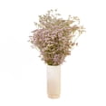 thumbnail image 2 of Member's Mark Limonium, 60 Stems, choose color, 2 of 6