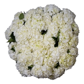 Member's Mark Hydrangeas, choose color and stem count