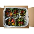 thumbnail image 8 of Member's Mark Thanksgiving Harvest Cornucopia Arrangement, choose quantity, 8 of 8
