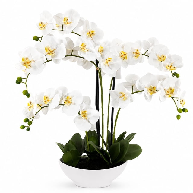 Artificial 20" Orchid in White Ceramic Planter, Assorted Colors