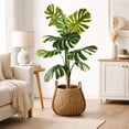 thumbnail image 3 of Artificial 5.5' Split Leaf Plant in a Neutral Handwoven Handled Basket, 3 of 5