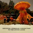 thumbnail image 7 of Avowed, Premium Edition SteelBook, 7 of 7