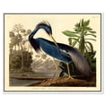 thumbnail image 2 of Louisiana Heron Traditional Canvas Print by Oliver Gal Prints, 2 of 4