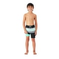 thumbnail image 3 of Member's Mark Boys Resort Swim Trunk, 3 of 14