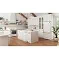 thumbnail image 8 of Pozzo Top Control Dishwasher with Soil-Sensing Capability, 8 of 9