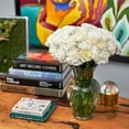 thumbnail image 7 of Member's Mark Carnations, choose color and stem count, 7 of 7