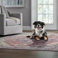 thumbnail image 4 of Member's Mark Everwash Washable Area Rug, 6'6"x 9'6", Assorted Colors, 4 of 7