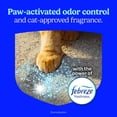 thumbnail image 6 of Fresh Step Heavy Duty Multi Cat Clumping Litter with Febreze Freshness, 42 lbs., 6 of 10