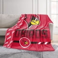 thumbnail image 2 of Logo Brands Illinois State Redbirds 60"x70" Super Plush Blanket, 2 of 7