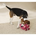 thumbnail image 9 of Alpaca Dog Toy, 3 pk., 9 of 9