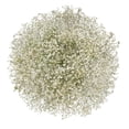thumbnail image 1 of Member's Mark Enhanced Gypsophila, choose color and stem count, 1 of 3