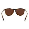 thumbnail image 4 of Blenders North Park X2 Sunglasses, Brown/Amber, 4 of 5