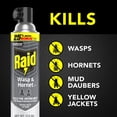 thumbnail image 5 of Raid® 3 Pack: Raid® Ant & Roach Killer 26 Outdoor Fresh 17.5oz, Raid® Wasp & Hornet Killer 33 17.5oz, Raid ® Multi Insect Killer 7 15oz, 5 of 8