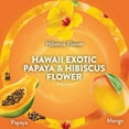 thumbnail image 4 of Air Wick Plug In Scented Oil Air Freshener, Hawaii Exotic Papaya & Hibiscus Flower, 2 warmers + 7 refills, 4 of 11