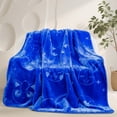 thumbnail image 1 of Kids Licensed Ultra Plush Embossed Throw, 50" x 60", 1 of 5