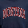 thumbnail image 6 of State of Mine Varsity Arch State Fleece Sweatshirt, 6 of 7
