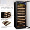 thumbnail image 12 of Lanbo 24 Inch Wine Cooler Refrigerator, 12 of 16