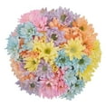 thumbnail image 1 of Member's Mark Painted Poms, 60 Stems, choose color, 1 of 1