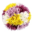 thumbnail image 1 of Member's Mark Spider Mums, choose color and stem count, 1 of 4