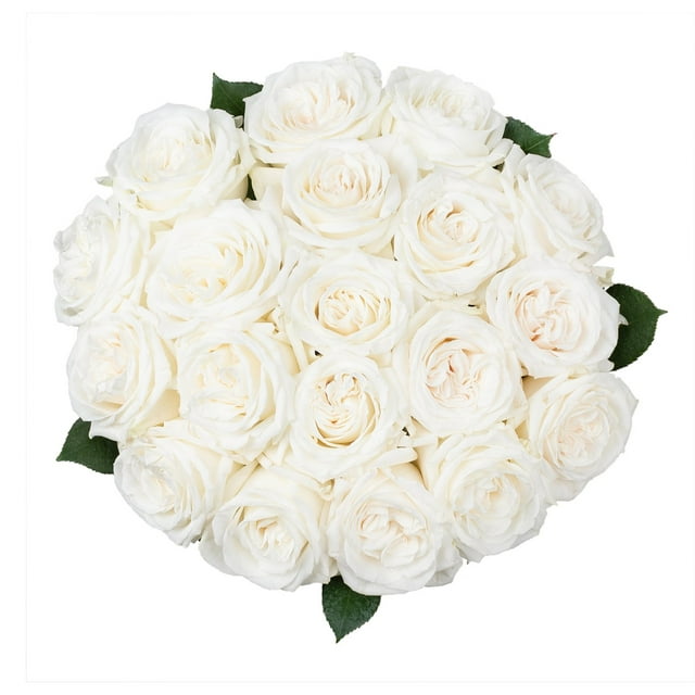 Member's Mark Premium Roses, 18 stems, choose color
