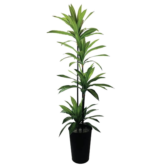 Artificial 6' Dracaena Tree in a Black Metal Planter