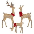 thumbnail image 4 of Member's Mark Pre-Lit Animated Deer Family, Set of 3, 4 of 8