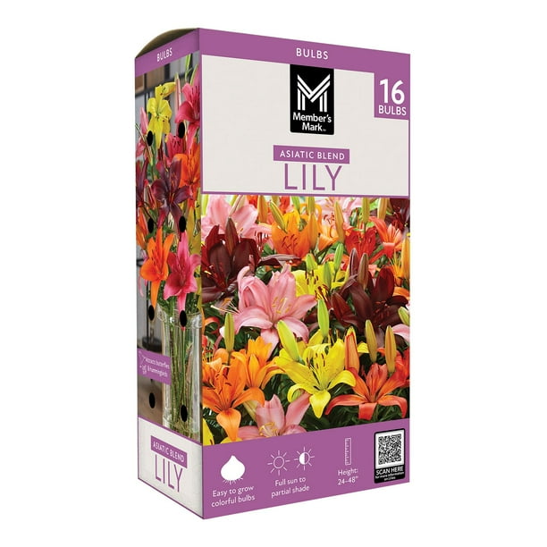 Member's Mark Lily Asiatic Blend Dormant Bulbs, 16pk - Samsclub.com