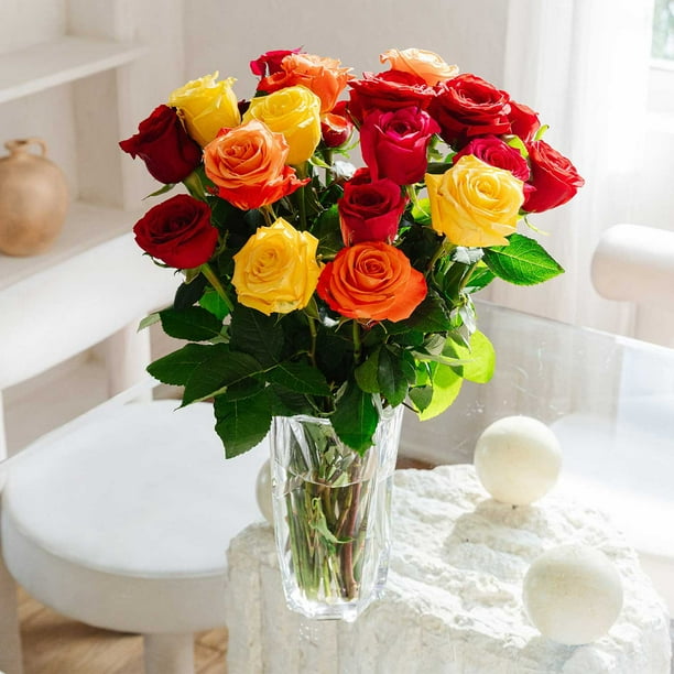 Member's Mark Premium Double Dozen Rose, 24 stems - Samsclub.com