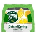 thumbnail image 6 of Poland Spring Sparkling Water Flavor Variety Pack 16.9 fl. oz., 24 pk., 6 of 7