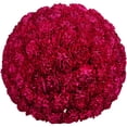 thumbnail image 1 of Member's Mark Carnations, choose color and stem count, 1 of 7