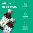 thumbnail image 3 of Hyland's Kids Cold & Cough Day & Night, Grape Flavor, 4 fl. oz., 3 pk., 3 of 6