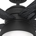 thumbnail image 13 of Hunter 44" Lilliput Ceiling Fan with Light Kit and Pull Chain, 13 of 14