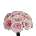 thumbnail image 2 of Member's Mark Garden Roses, 36 stems, Choose color variety, 2 of 6