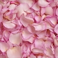 thumbnail image 1 of Member's Mark Fresh Rose Petals, 3000 ct., Choose color variety, 1 of 1