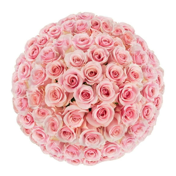 Member's Mark Ecuadorian Premium Roses, choose color variety and stem count