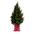 thumbnail image 5 of Member's Mark 48" Pre-Lit Topiary in Red Bow Container, 5 of 5