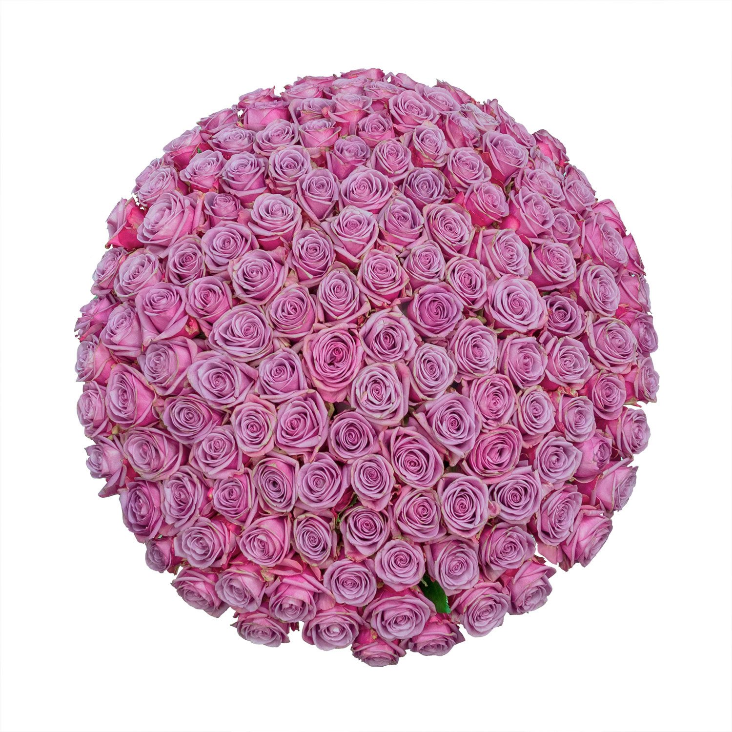 Member's Mark Ecuadorian Premium Roses, choose color variety and stem ...