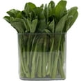 thumbnail image 3 of Choy Sum, 2 lbs., 3 of 5