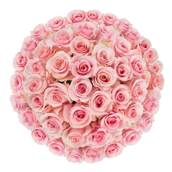 Member's Mark Ecuadorian Premium Roses, choose color variety and stem count
