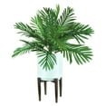 thumbnail image 1 of Faux 32" Phoenix Palm in White Ceramic Stand, 1 of 4