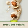 thumbnail image 5 of Nature Valley Sweet and Salty Nut Almond Granola Bars, 36 ct., 5 of 10