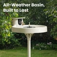 thumbnail image 12 of Birdfy Smart Bird Bath Pro with Stand, 12 of 13