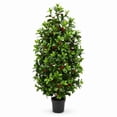 thumbnail image 1 of Artificial 4' Holly Berry Cone Shaped Topiary in Black Grower's Pot, 1 of 6