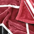 thumbnail image 6 of Logo Brands South Carolina Gamecocks 60"x70" Super Plush Blanket, 6 of 6