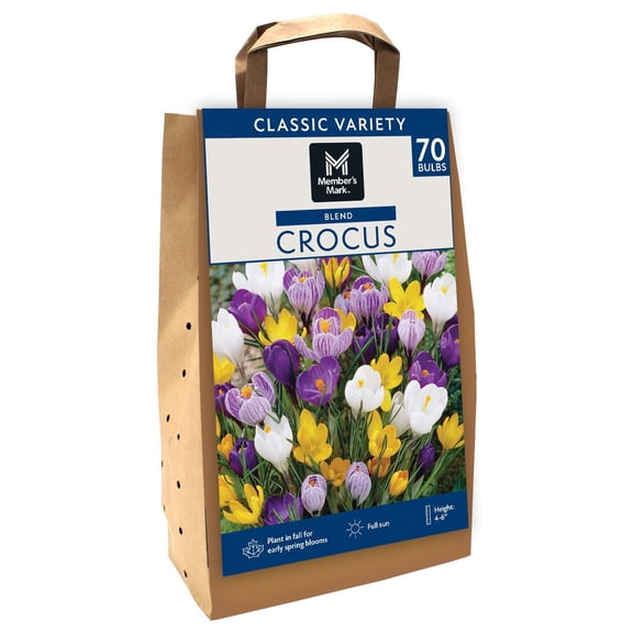 Member's Mark Crocus Mix Dormant Bulbs, 70pk