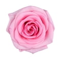 thumbnail image 2 of Member's Mark Roses, choose color and stem count, 2 of 7
