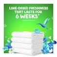thumbnail image 4 of Gain Flings! Liquid Laundry Detergent Pacs, Blissful Breeze Scent (152 ct.), 4 of 8