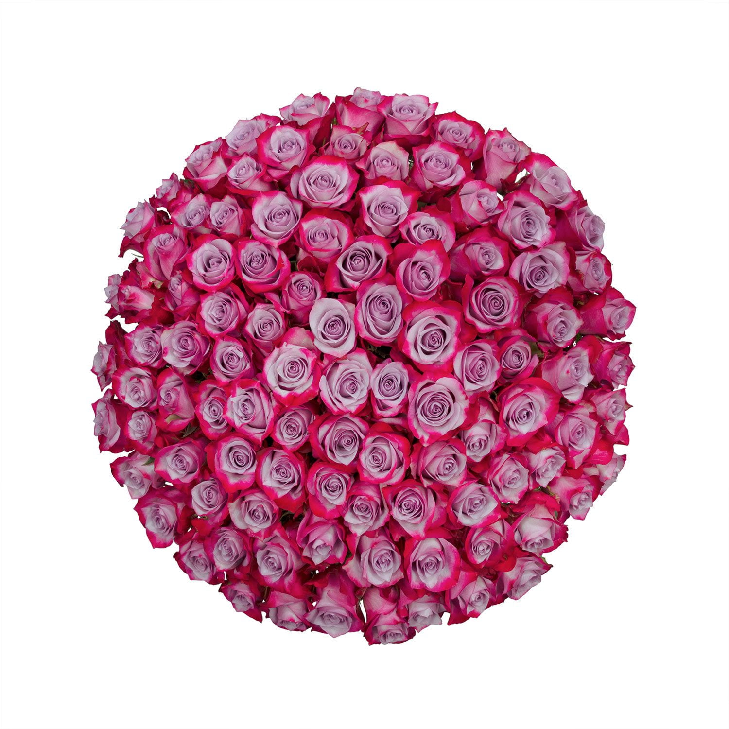 Member's Mark Ecuadorian Premium Roses, choose color variety and stem ...