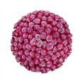 thumbnail image 1 of Member's Mark Ecuadorian Premium Roses, choose color variety and stem count, 1 of 8
