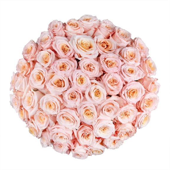 Member's Mark Ecuadorian Premium Roses, choose color variety and stem count